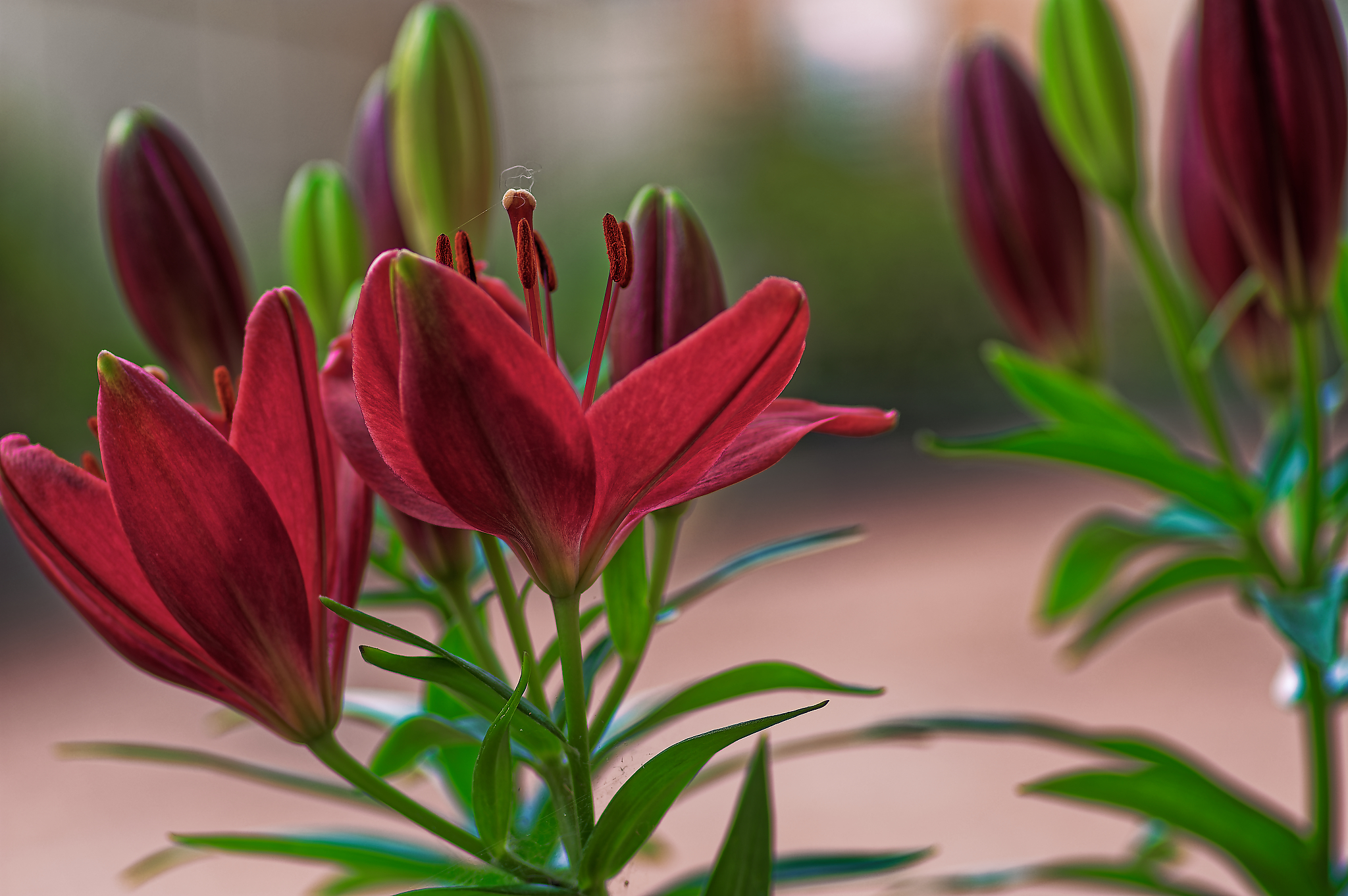 12 01 December 18 13 38fotosbyme